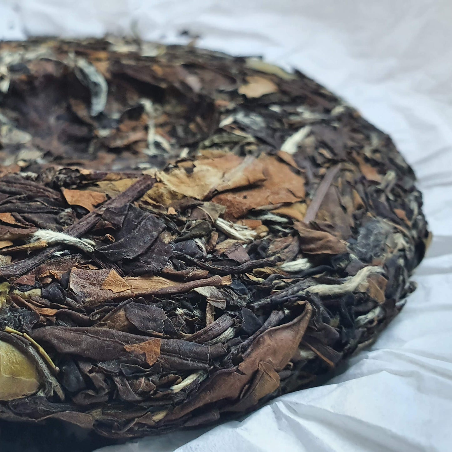 Galette de thé blanc de Fuding 枣香寿眉 100g