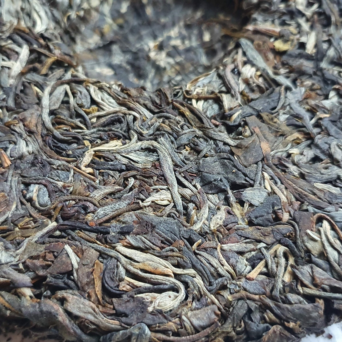 Galette de puerh sheng 2020 普洱生茶 200g
