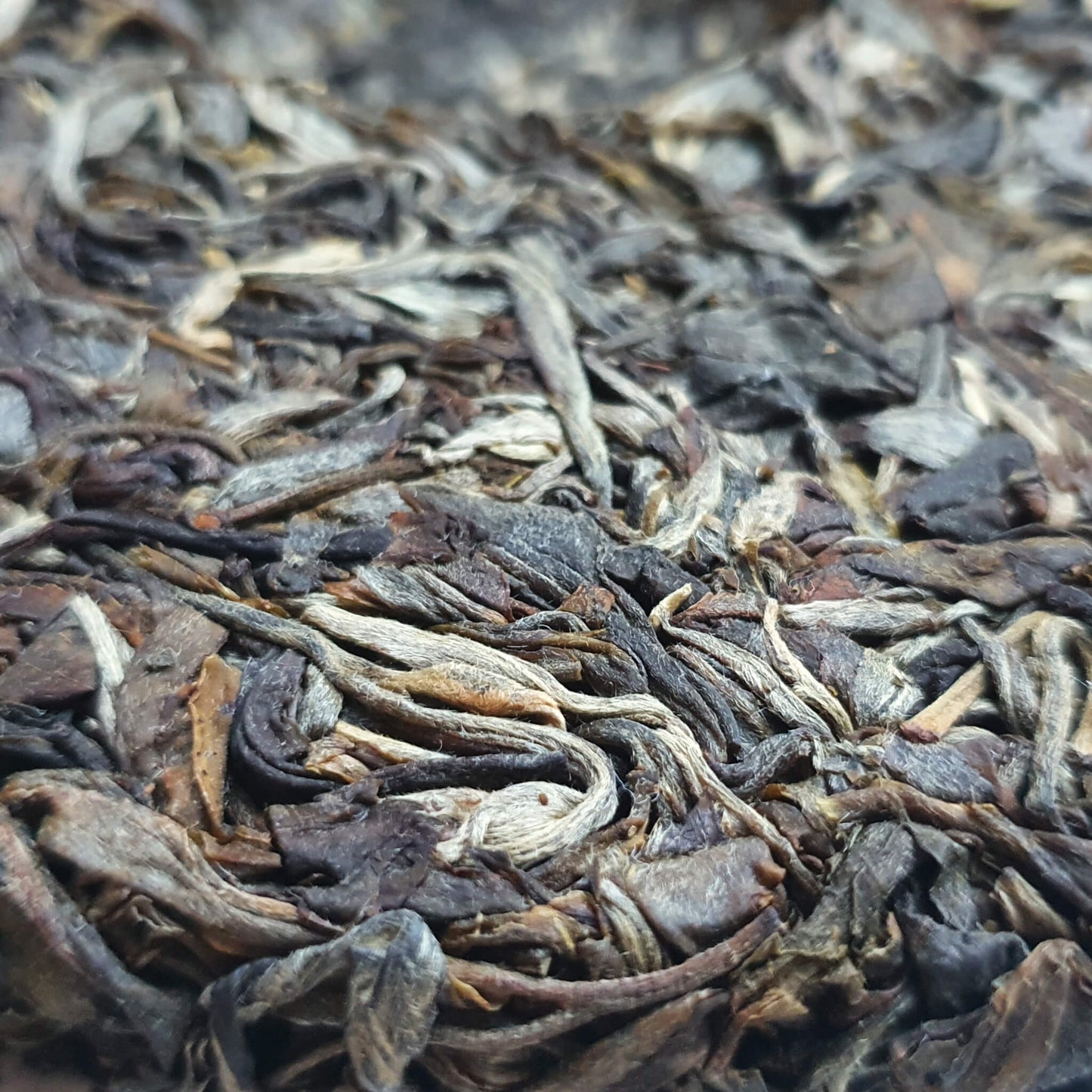 Galette de puerh sheng 2020 普洱生茶 200g