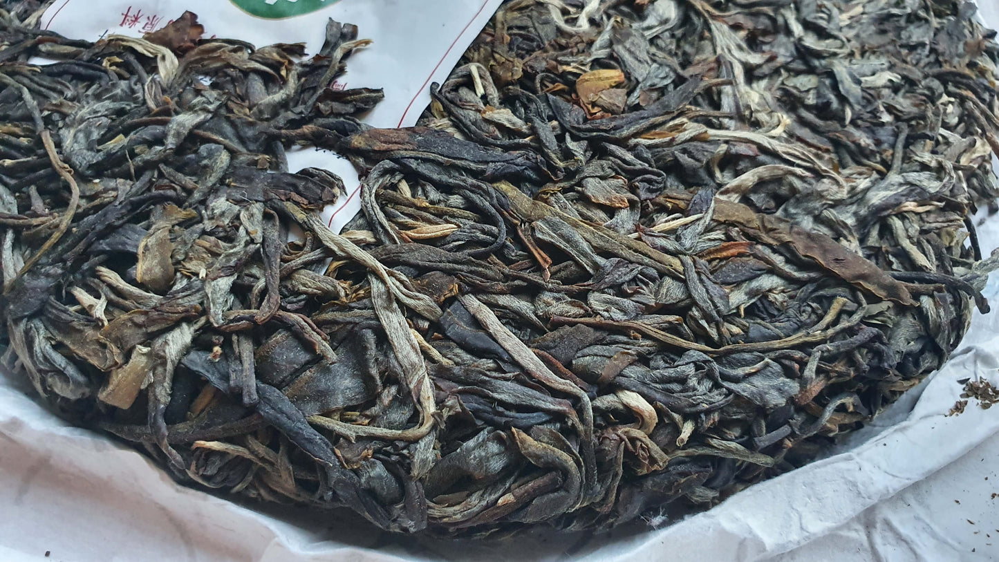 Galette de puerh sheng 2020 普洱生茶 200g