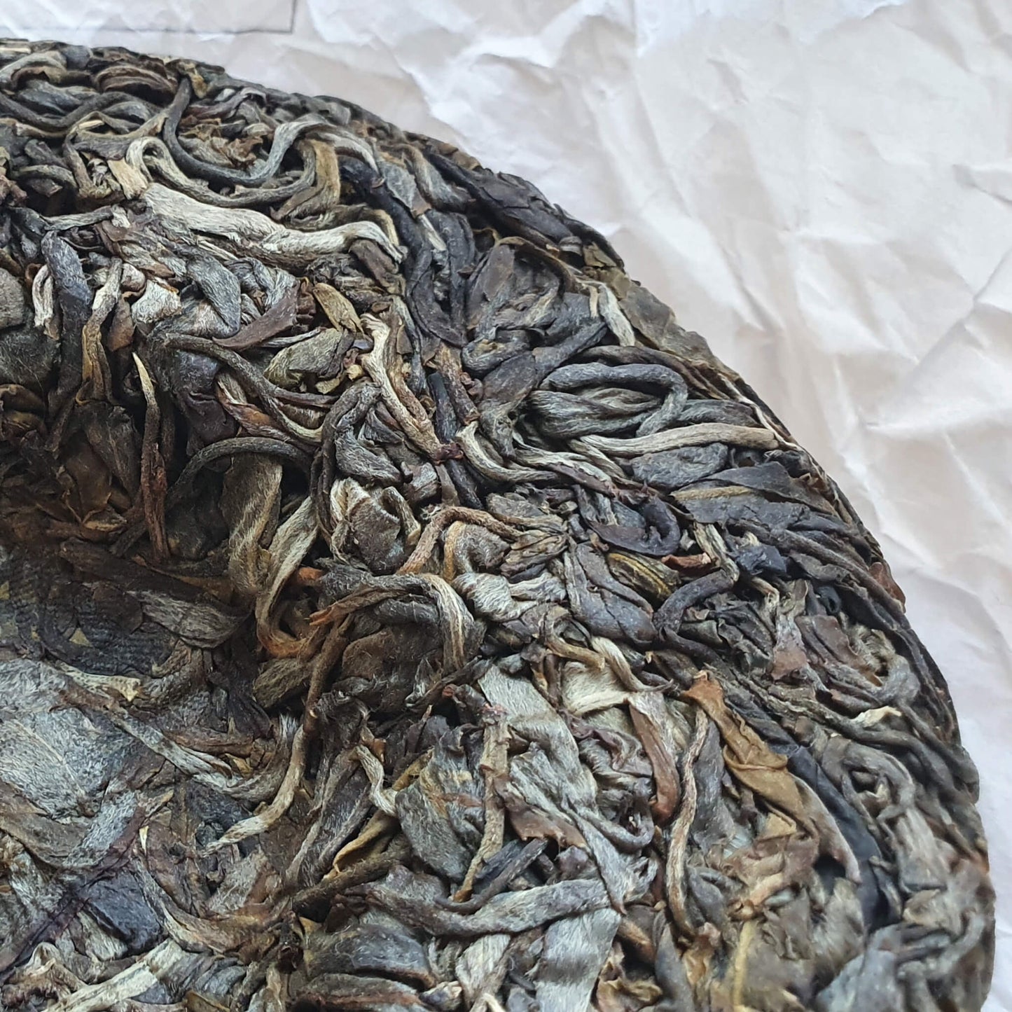 Galette de puerh sheng vieux arbres 普洱古树生茶饼 200g