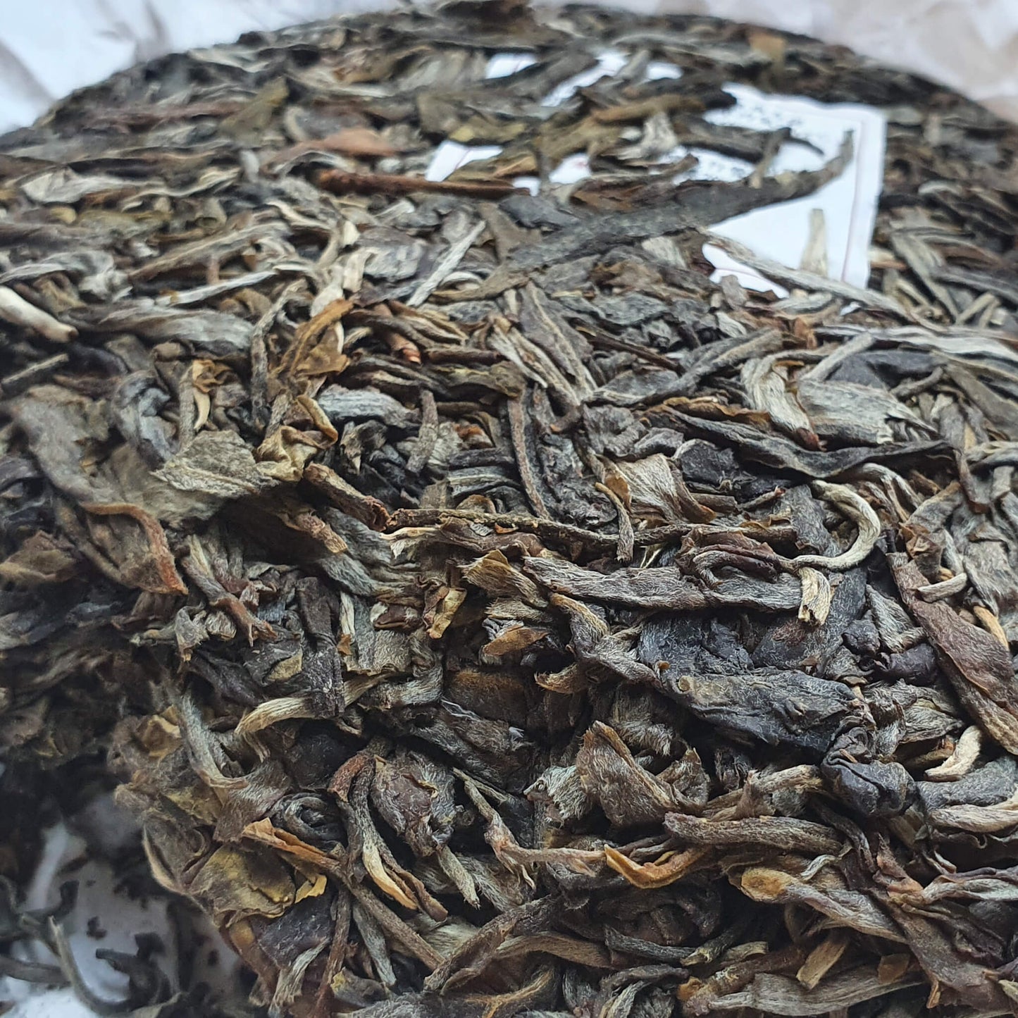 Galette de puerh sheng vieux arbres 普洱古树生茶饼 200g
