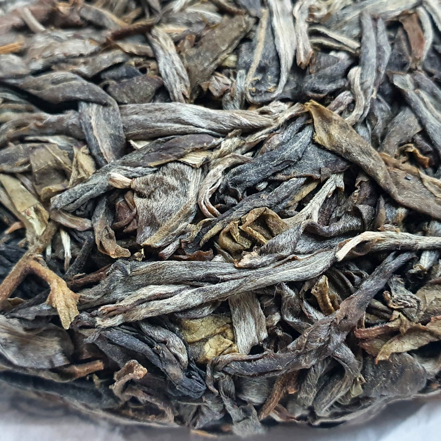 Galette de puerh sheng vieux arbres 普洱古树生茶饼 200g