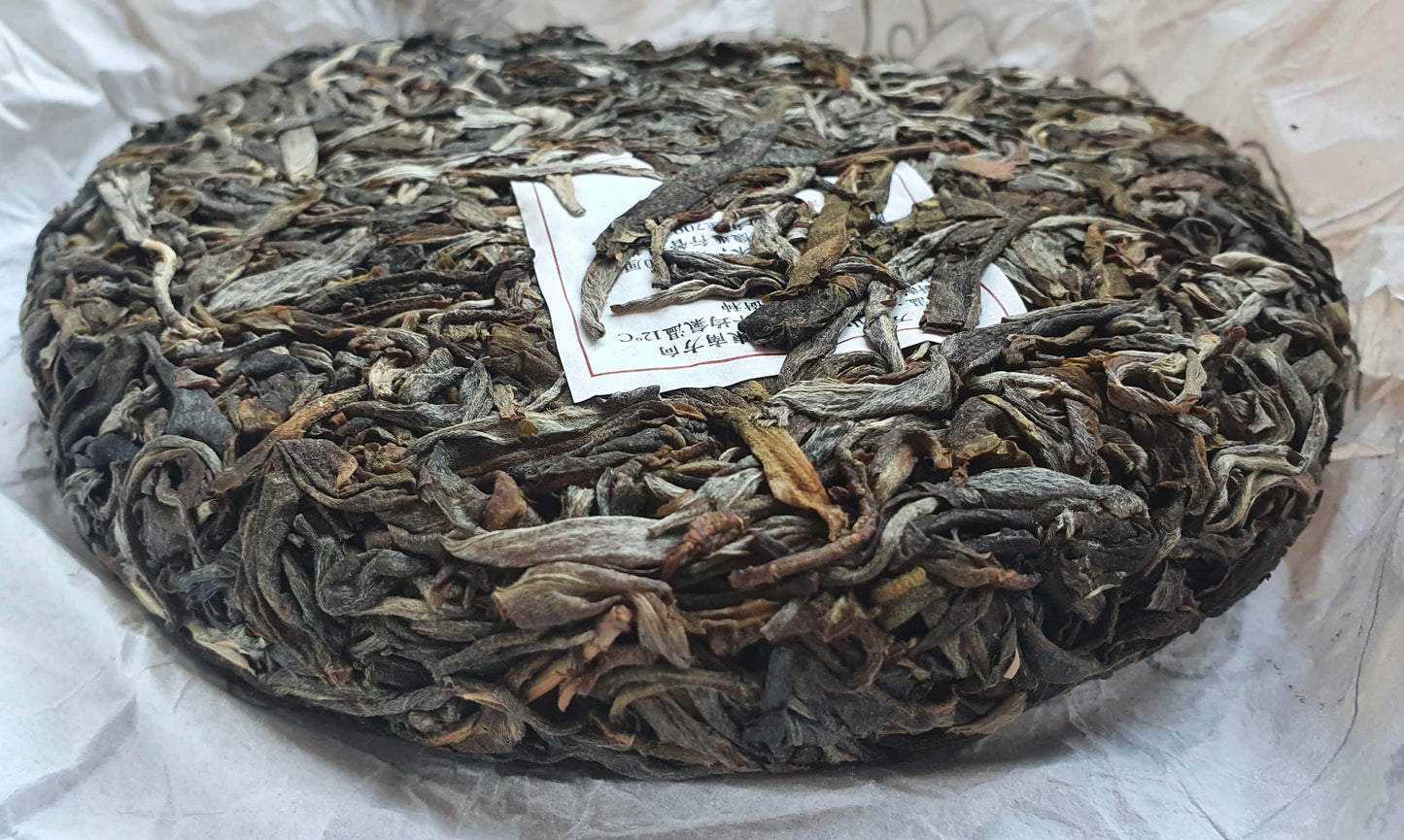 Galette de puerh sheng vieux arbres 普洱古树生茶饼 200g