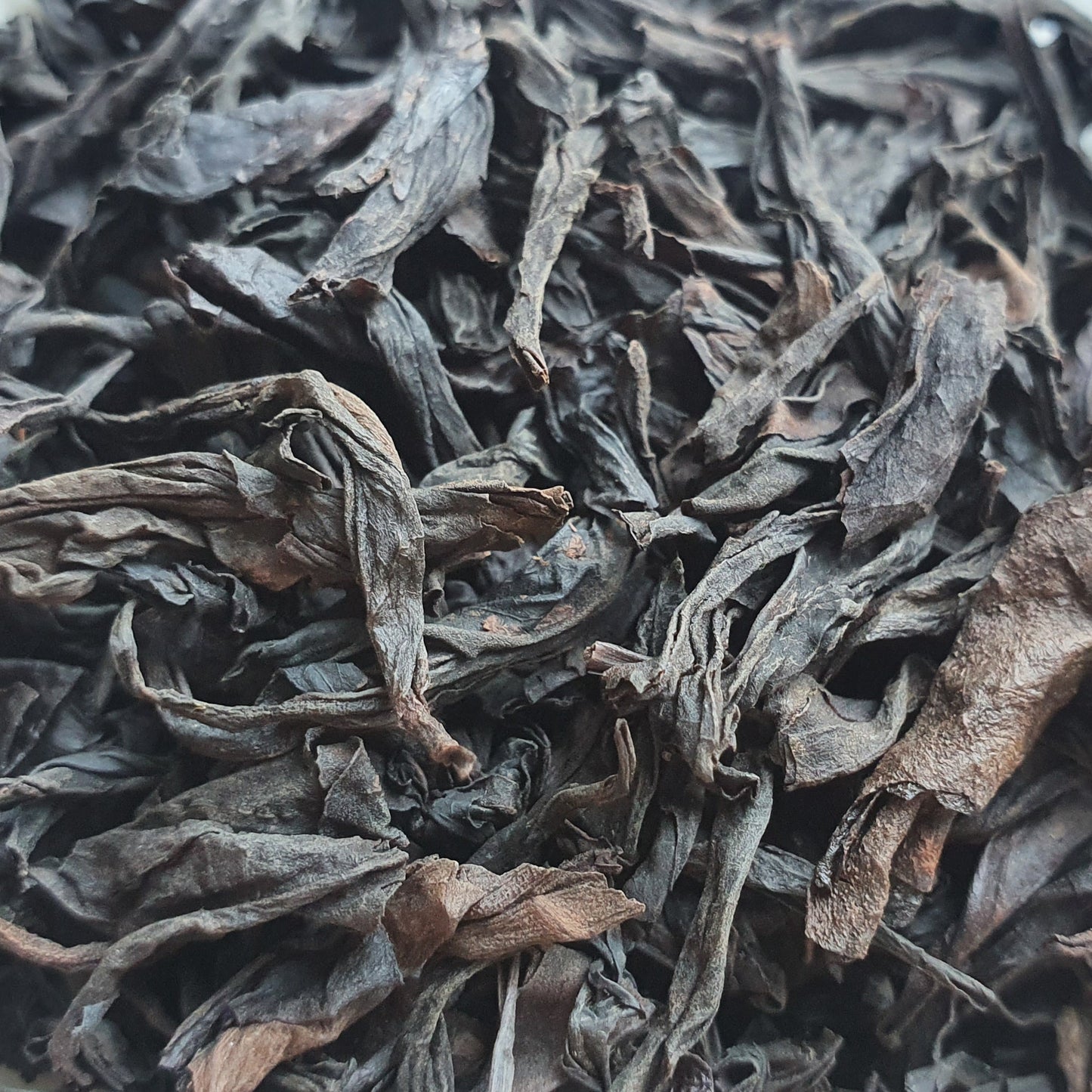 Échantillons de Rou Gui 肉桂 2x10g ◈ premium