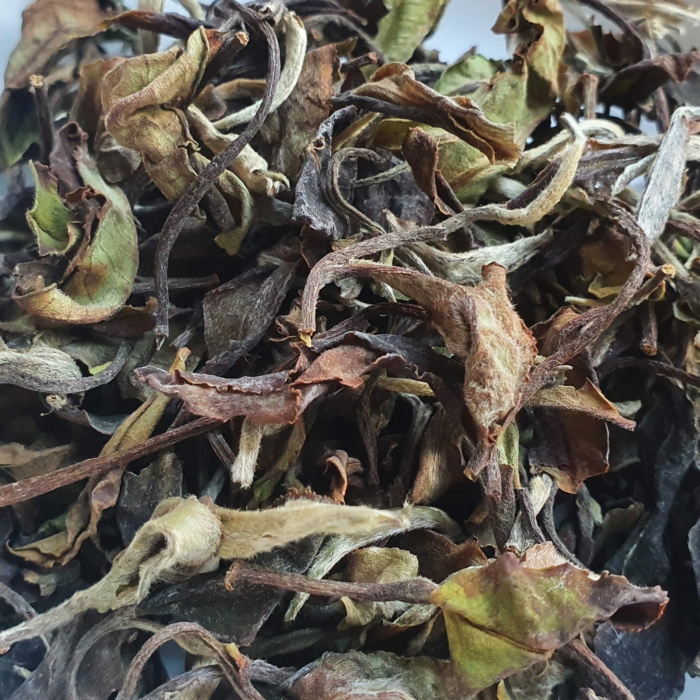 Thé blanc du Yunnan 唔螗茶 50g