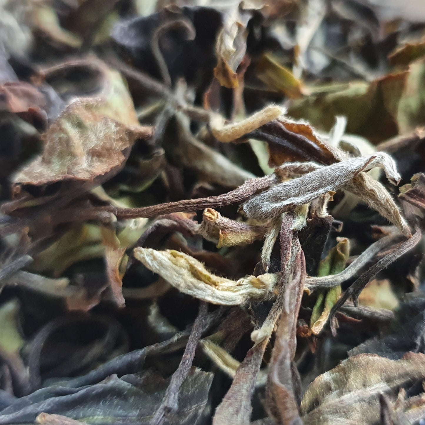 Thé blanc du Yunnan 唔螗茶 50g