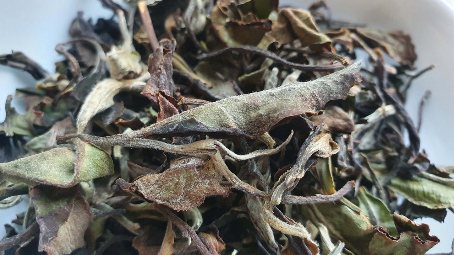 Thé blanc du Yunnan 唔螗茶 50g