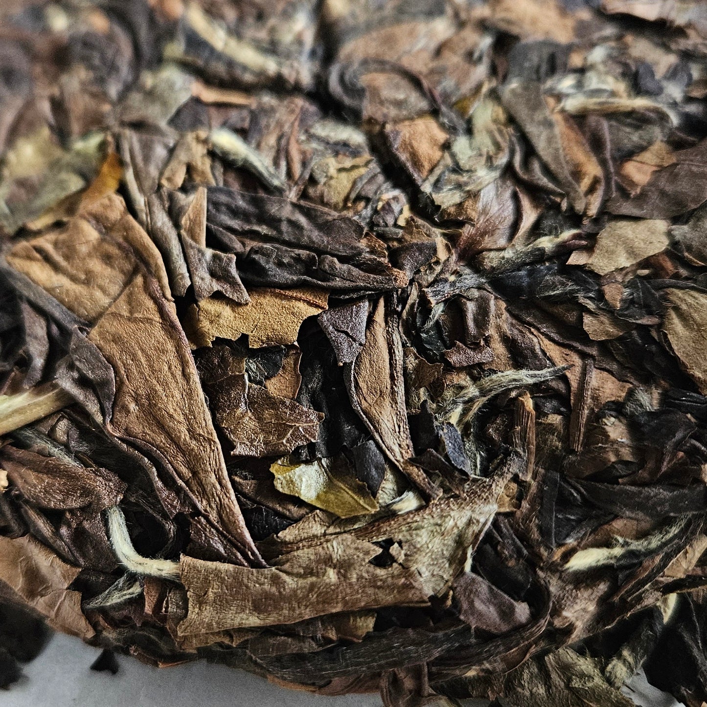 Galette de thé blanc de Fuding 曼香寿眉 100g