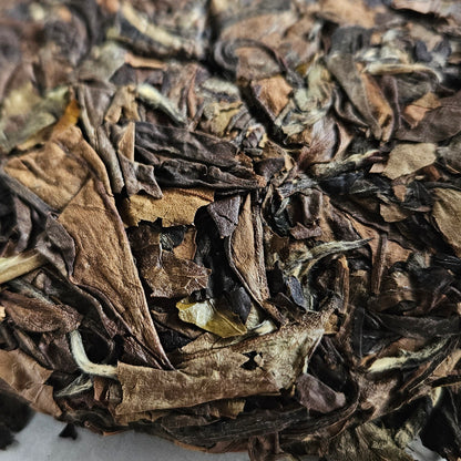 Galette de thé blanc de Fuding 曼香寿眉 100g