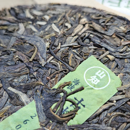 Disque de puerh sheng 1x50g