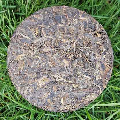 Disque de puerh sheng 1x50g